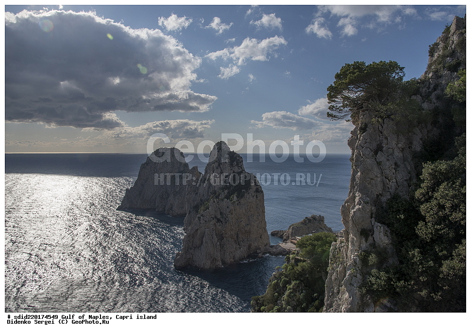 �������, ��������, ������, ����, ����, ��� �� �����, ������, �������, �������������� �����, �����, ������ �����