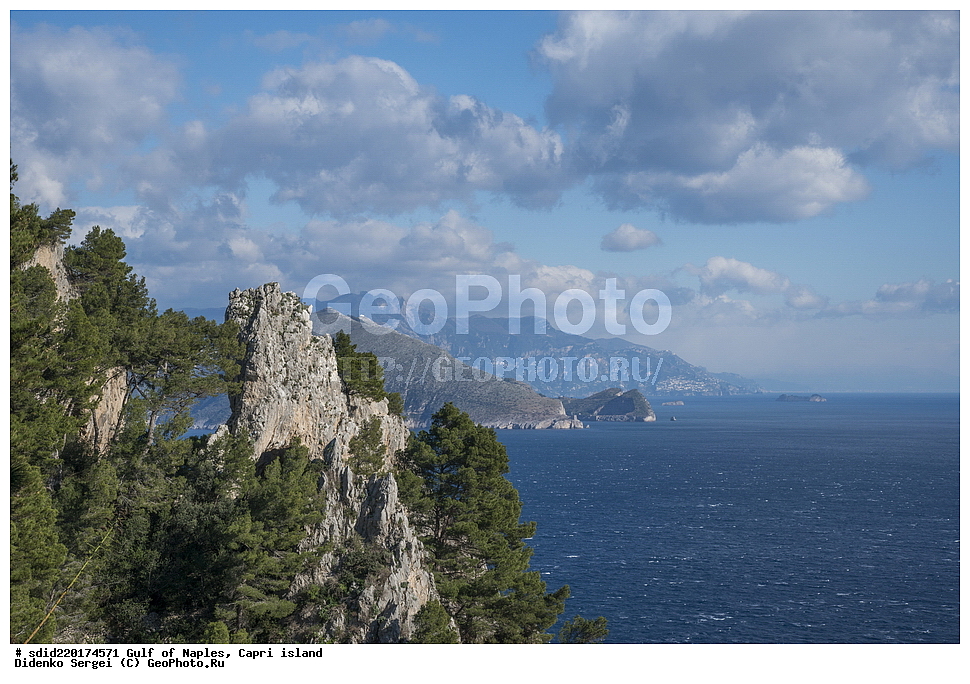 �������, ��������, ������, ����, ����, ��� �� �����, ������, �������, �������������� �����, �����, ������ �����