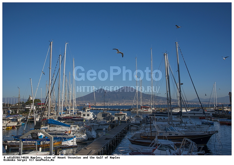 �������, ��������, ������, ����, ����, ��� �� �����, ������, �������, �������������� �����