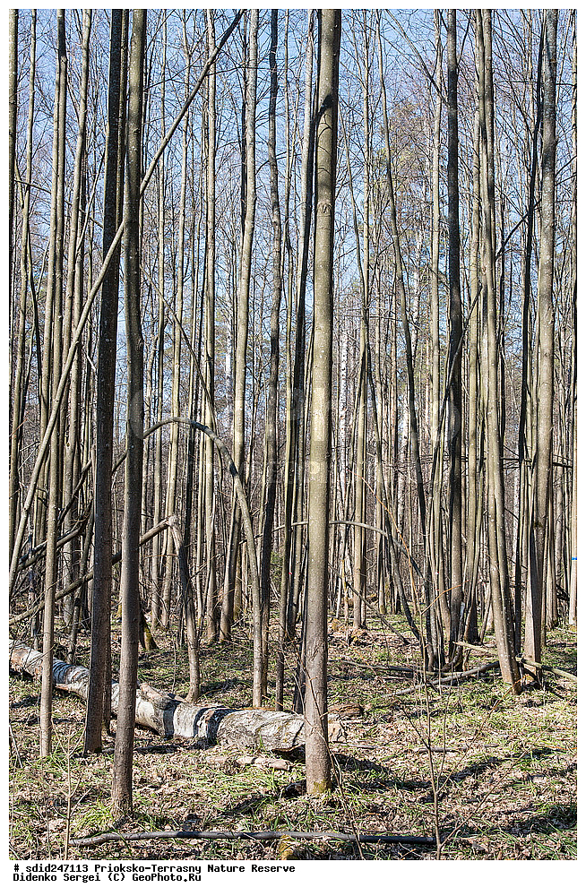 ��������-��������� ����������, ����������, ��������, �������, ���, ��������, ���������� �������, ���, ����, �����,  ������������ ������� �����, �����, ����������, ��������, ������, �����, ��������-���������, ���������, ���������,