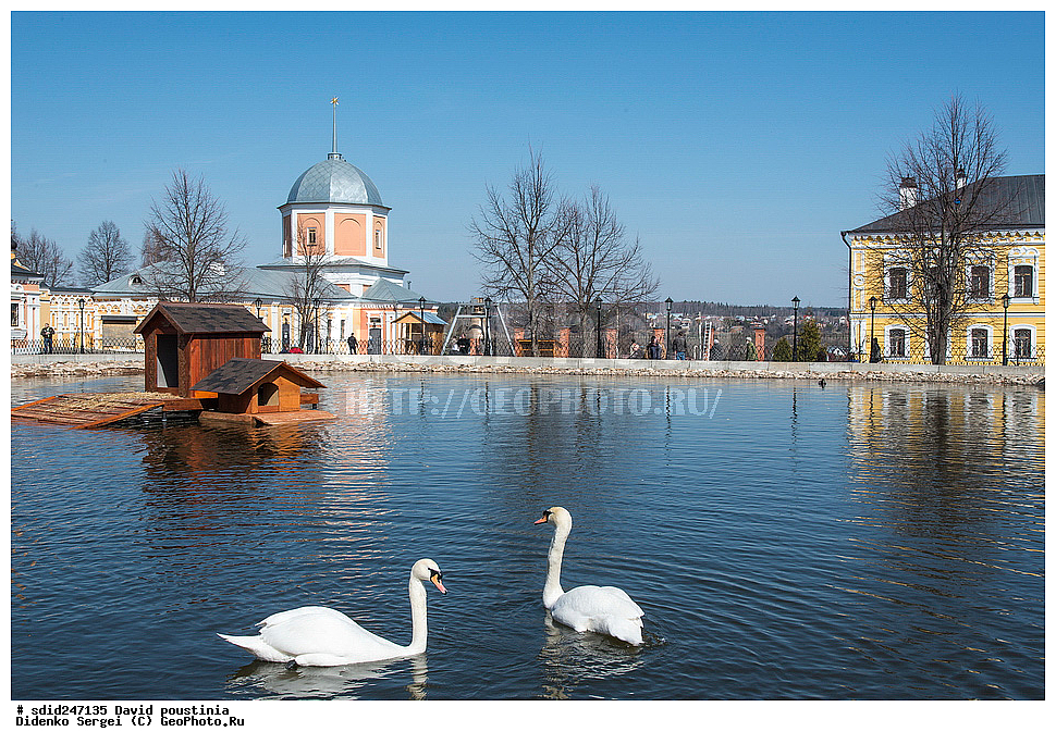 �������� �������, ���������, ���������� �������, ����, �����������, ������, ������, ����, ����, �����, ����-������, ������, ���������,, �������, ������, �����, ������������ �������� �������, �������, ��������,, ����� ������ �� �����, ����� ������, � ����� ������ �� �����,, ��������, ��������, ��������, �����������, �����������������, ������������� �����, ������������� �����, XYZ, ������, Anatidae, ������-�����, Cygnus olor