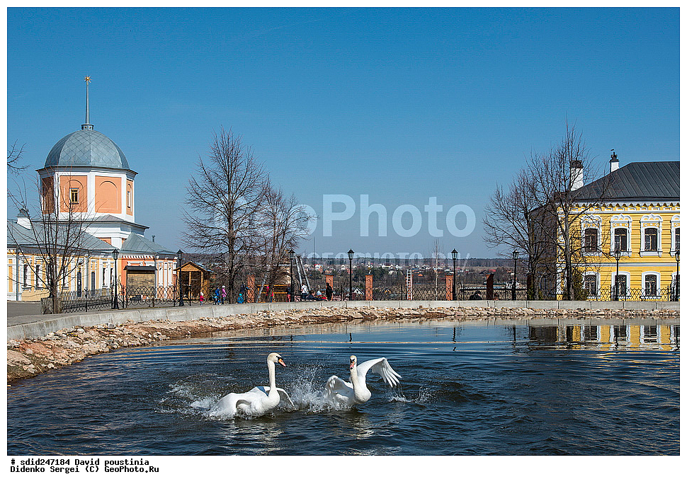 �������� �������, ���������, ���������� �������, ����, �����������, ������, ������, ����, ����, �����, ����-������, ������, ���������,, �������, ������, �����, ������������ �������� �������, �������, ��������,, ����� ������ �� �����, ����� ������, � ����� ������ �� �����,, ��������, ��������, ��������, �����������, �����������������, ������������� �����, ������������� �����, XYZ, ������, Anatidae, ������-�����, Cygnus olor