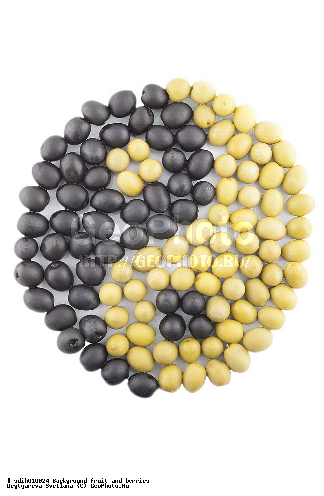 ���, �����, �����, ������, ������, ��� � ��