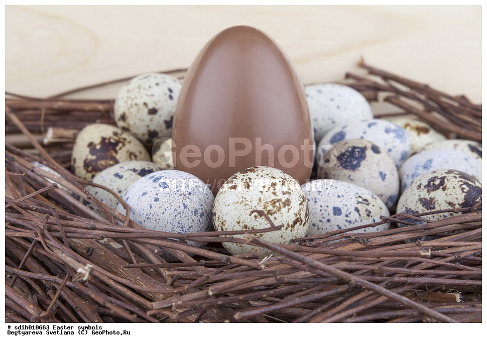 ���������� �������, ����, ������, �����, ���������� ����, �������, �������