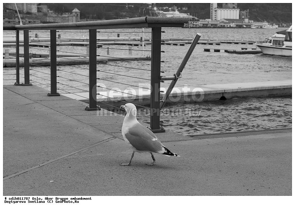 ����, ����������, ����-������, �����, ��, �����-�����