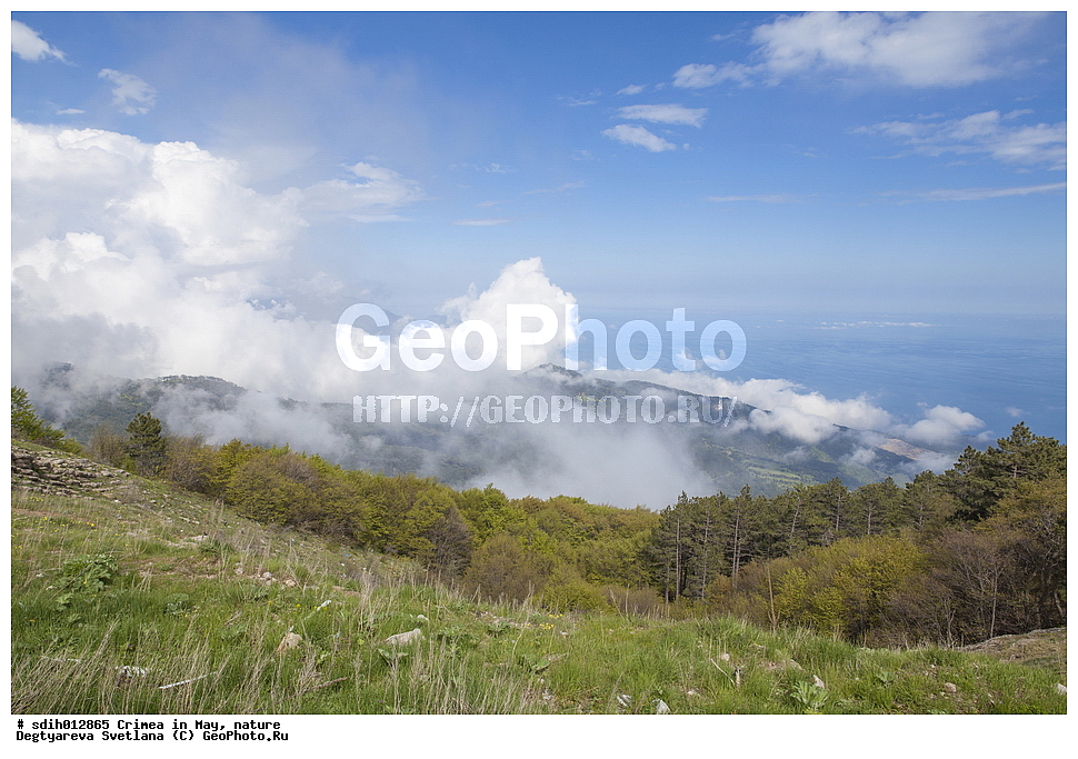 ����, ���, �������, ����, ������, ����, �����