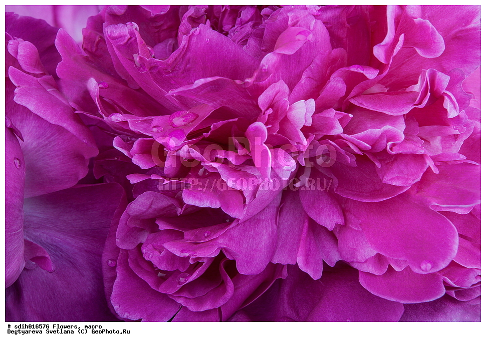 �����, �����������, �����, ����, ���, ��������, �������