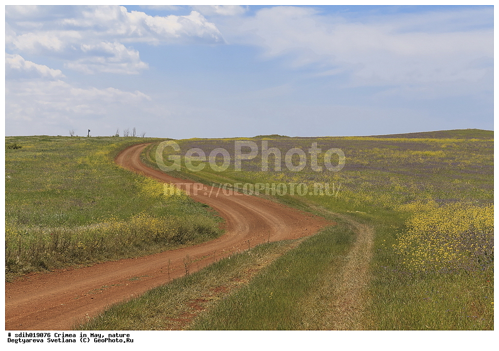 ����, ���, �������, ����������� ������, �����, ����, ������