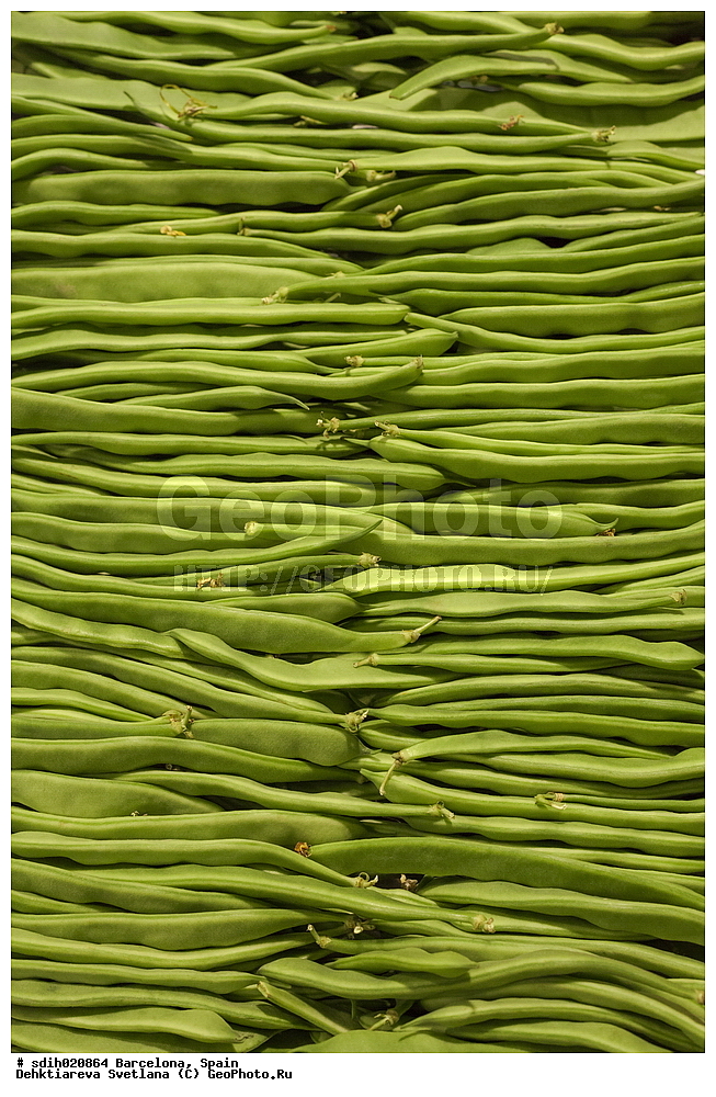 ���������, �������, �������, �����, ��������, ���, �������, �����, �������, ��������, ��������, �������, �������, �����, ���, �����