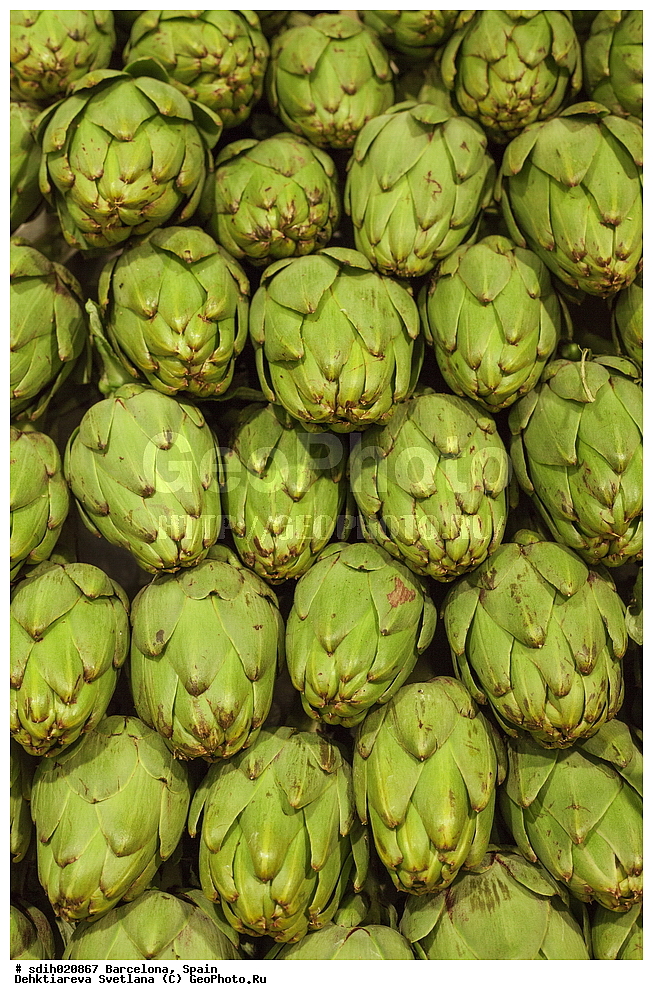 ���������, �������, �������, �����, ��������, ���, �������, �������, ��������, �����, ���, �����