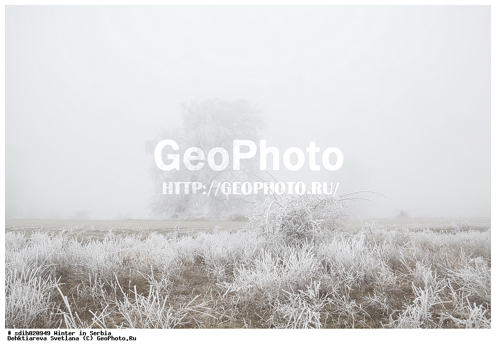 ����, ������, �����, ������, �������, ������, �����, �����, ����, ��������, ���������, ����������, ������, �������, ���������, �����, �����, ��������, ������