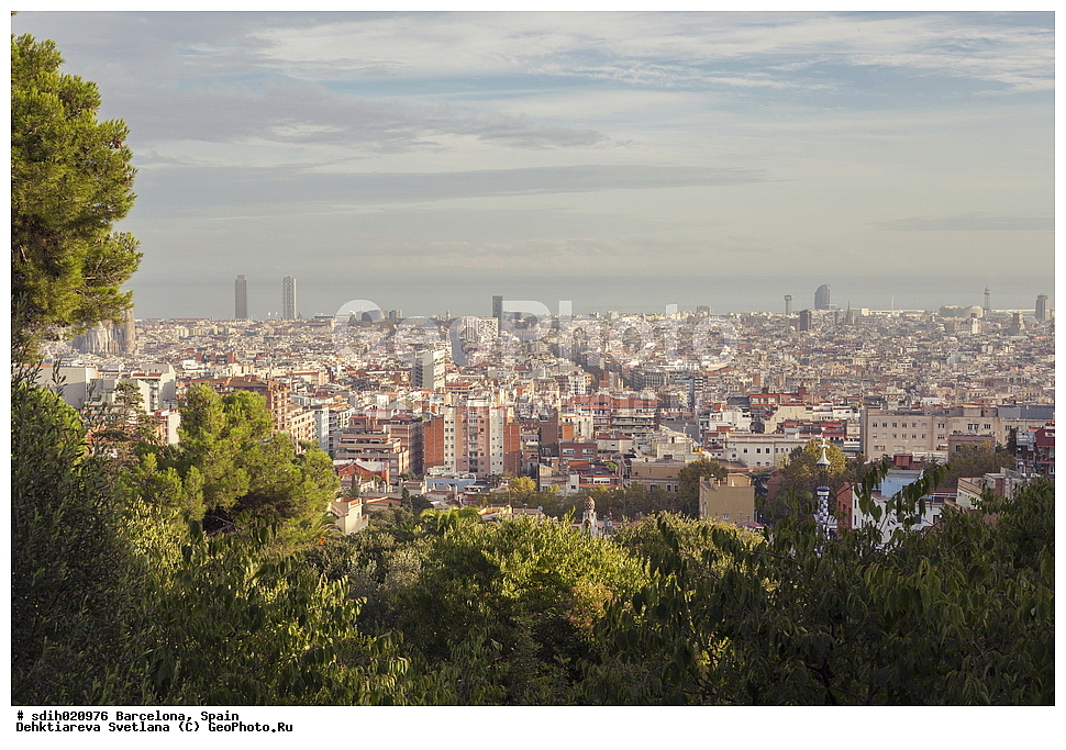 ���������, �������, ��������, ��� �� �����, ��������, ��������� ����, ������