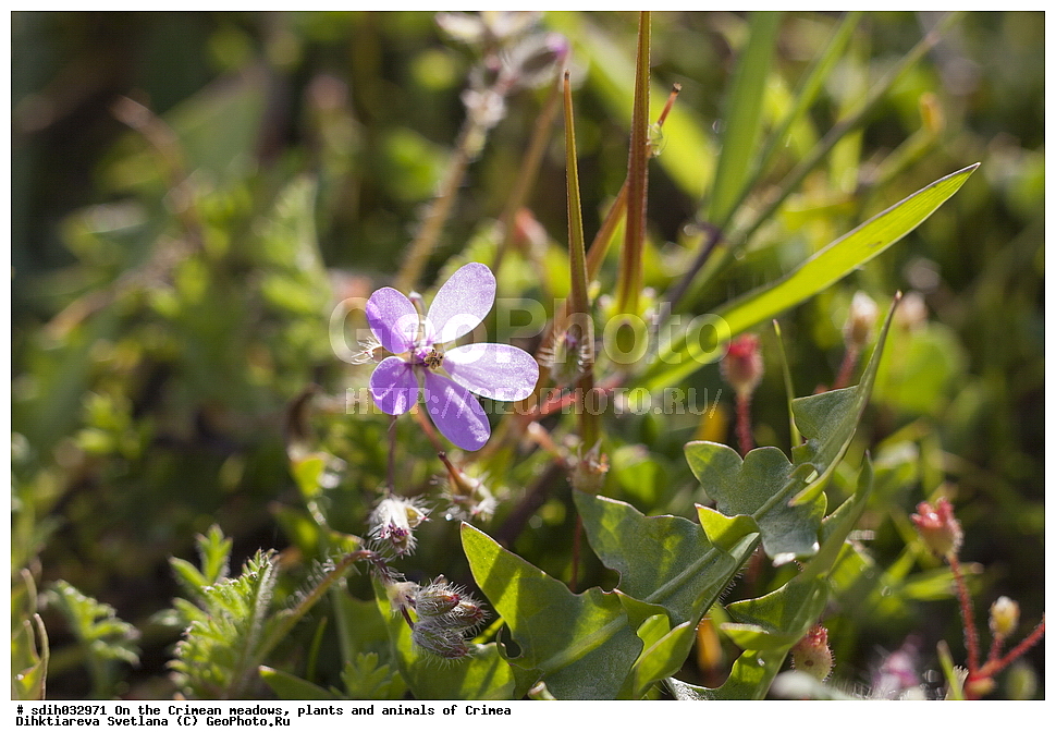 ����, ���, ��������, �����, ��������, ������� �����, ���������, ����������, ������, �����, �����, ����, �������, ������, ������, ��������, �������, �����������, ������, ������� ������������, ������� ���������, ���������, ����������� ���������