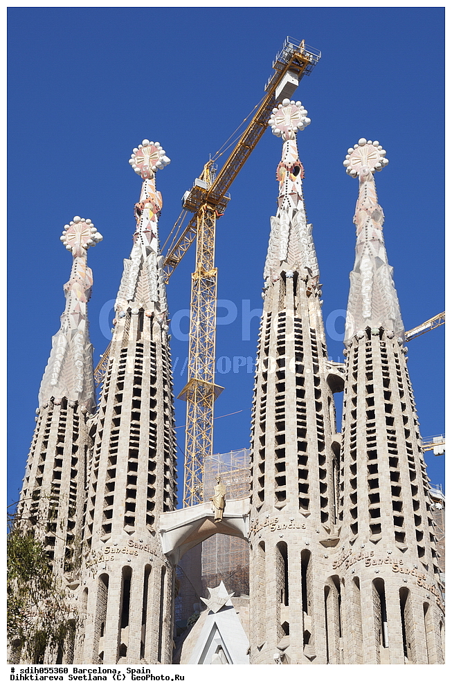 ���������, �������, ���� ������� ���������, �����, �����, ����, �������, ���������������������, �����������, ���������, �������������, ������� �������