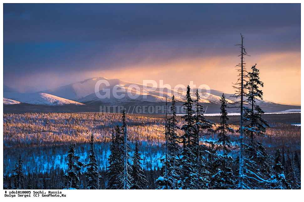 ���������, ���������� �������,  �������� �����, ����, ����, ������