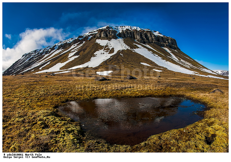 �������� �����, �������� ��������� �����, ���, ����