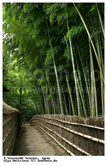 ������, ������� ����, �����