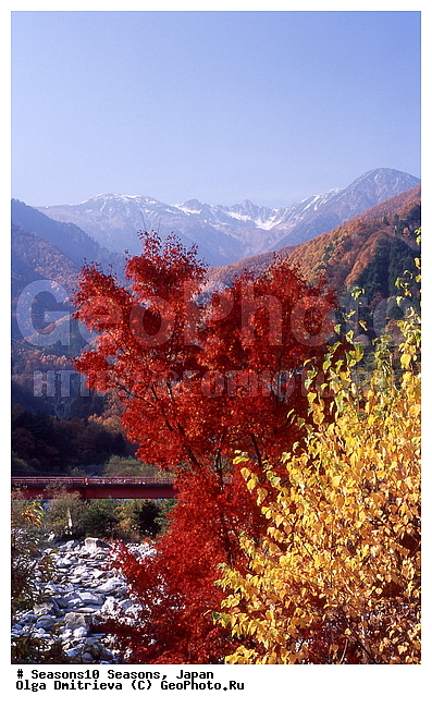 ������, ������� ����, �����