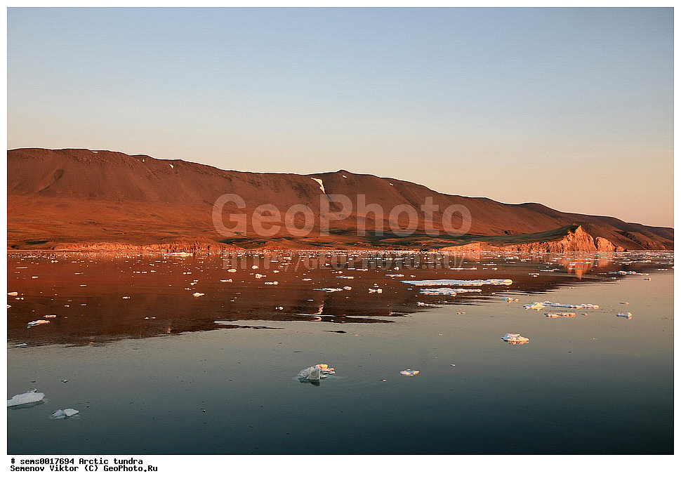 ������, �������