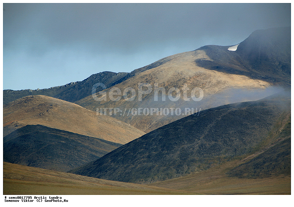 ������, �������