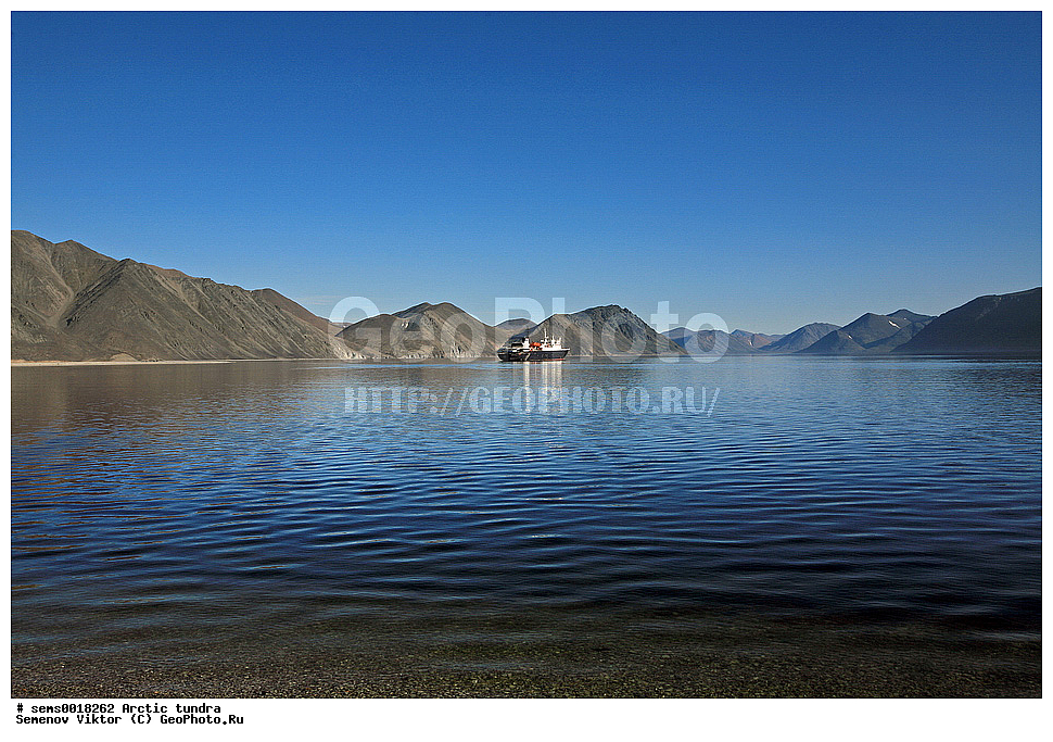 ������, �������