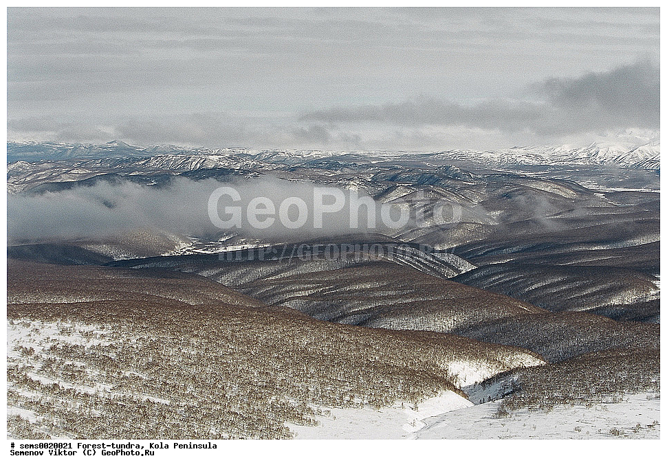 ����������, �������� ����������, ������, ����, ����