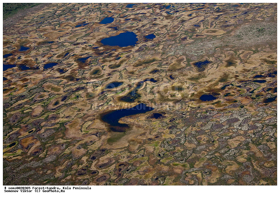 ����������, �������� ����������, ������, ����, ����