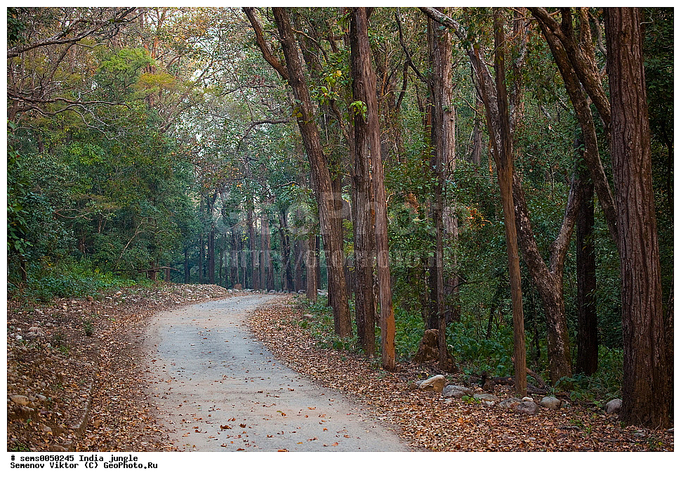 ���������� �����, �������