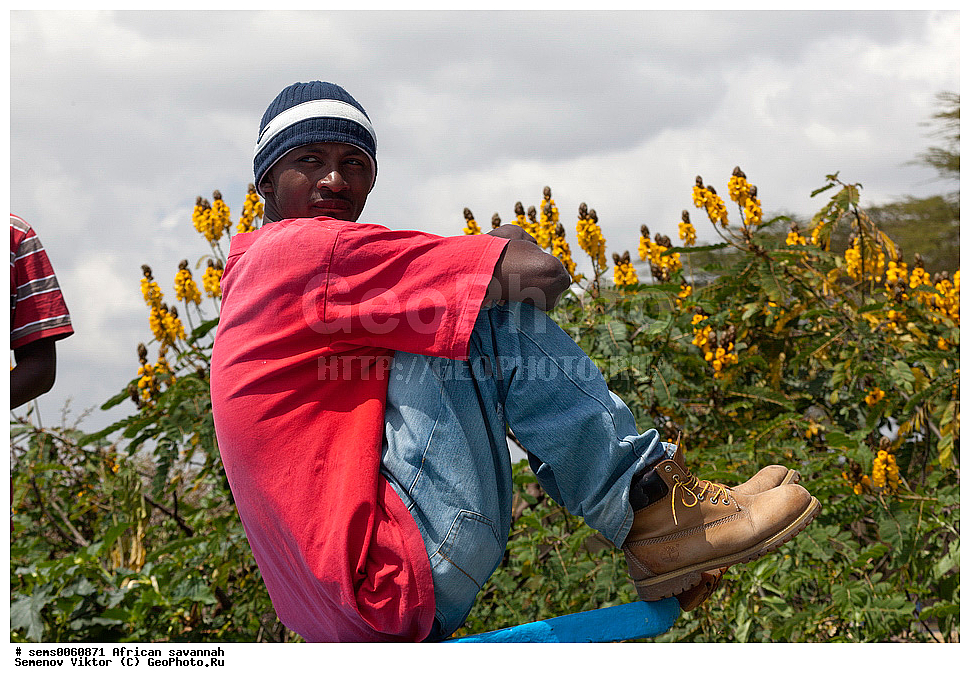 �������, ������