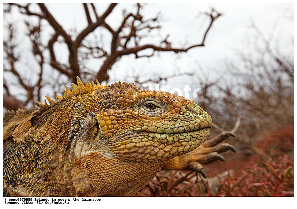 �������, ����� �������, ������������� �������, ������������� �������, ����������