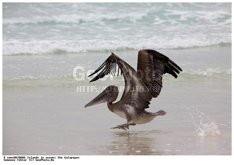 �������, ����� �������, ������������� �������, ������������� �������, ����������