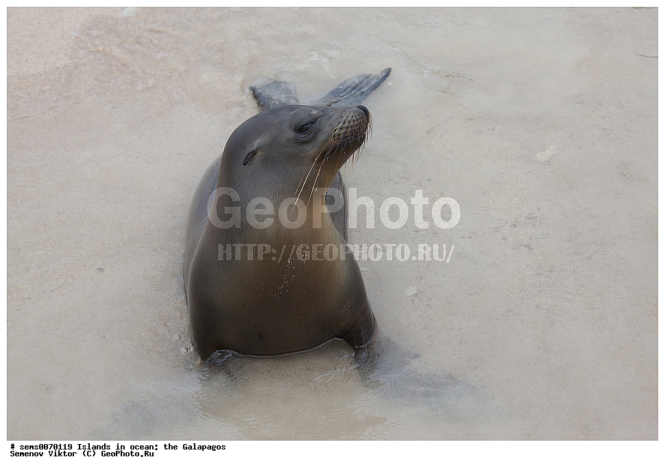 �������, ����� �������, ������������� �������, ������������� �������, ����������