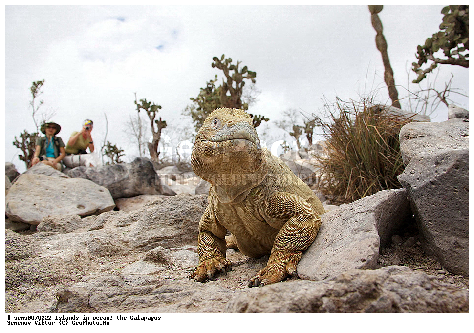 �������, ����� �������, ������������� �������, ������������� �������, ����������