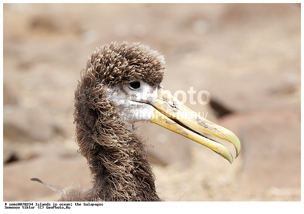 �������, ����� �������, ������������� �������, ������������� �������, ����������