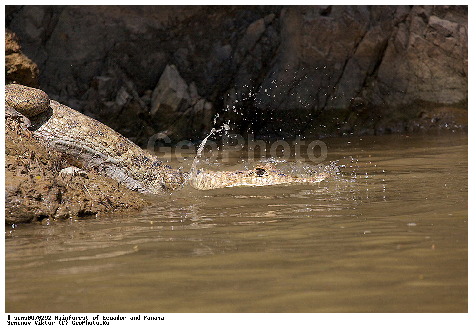 ��������� �������, ����� �������, ����������� �������, �������� �������, ����������� ���, �������, ������