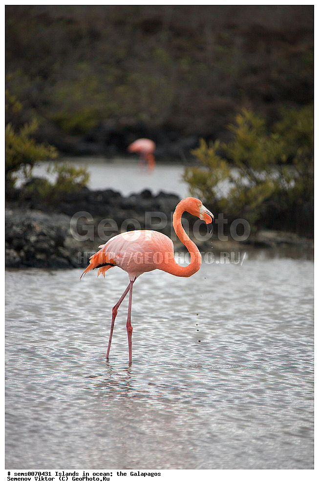 �������, ����� �������, ������������� �������, ������������� �������, ����������