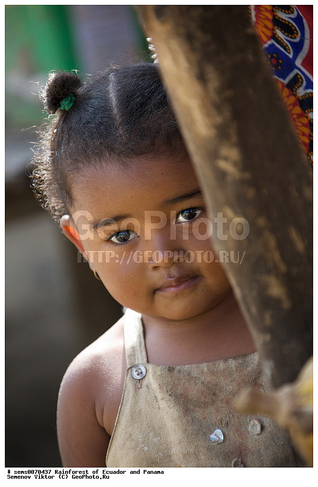 ��������� �������, ����� �������, ����������� �������, �������� �������, ����������� ���, �������, ������