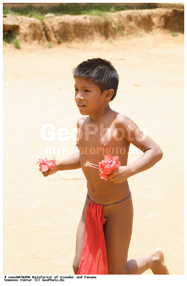 ��������� �������, ����� �������, ����������� �������, �������� �������, ����������� ���, �������, ������