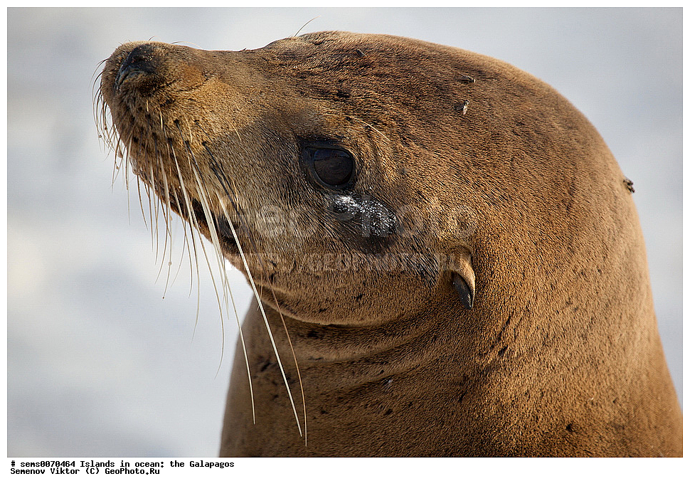 �������, ����� �������, ������������� �������, ������������� �������, ����������