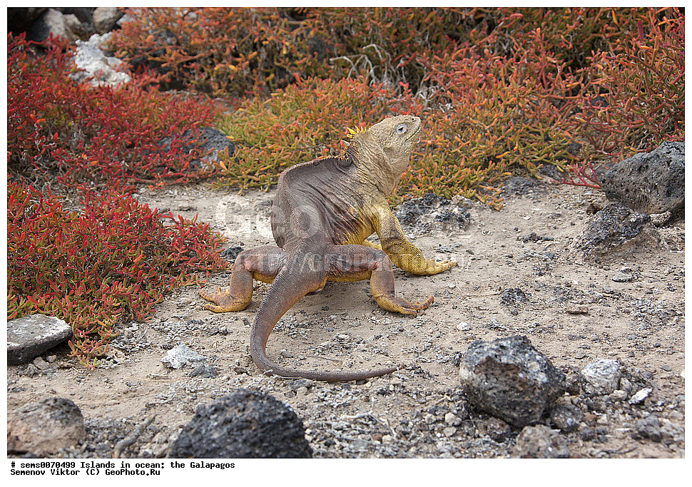 �������, ����� �������, ������������� �������, ������������� �������, ����������