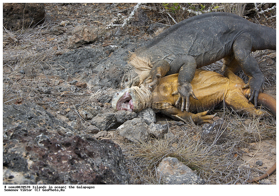 �������, ����� �������, ������������� �������, ������������� �������, ����������