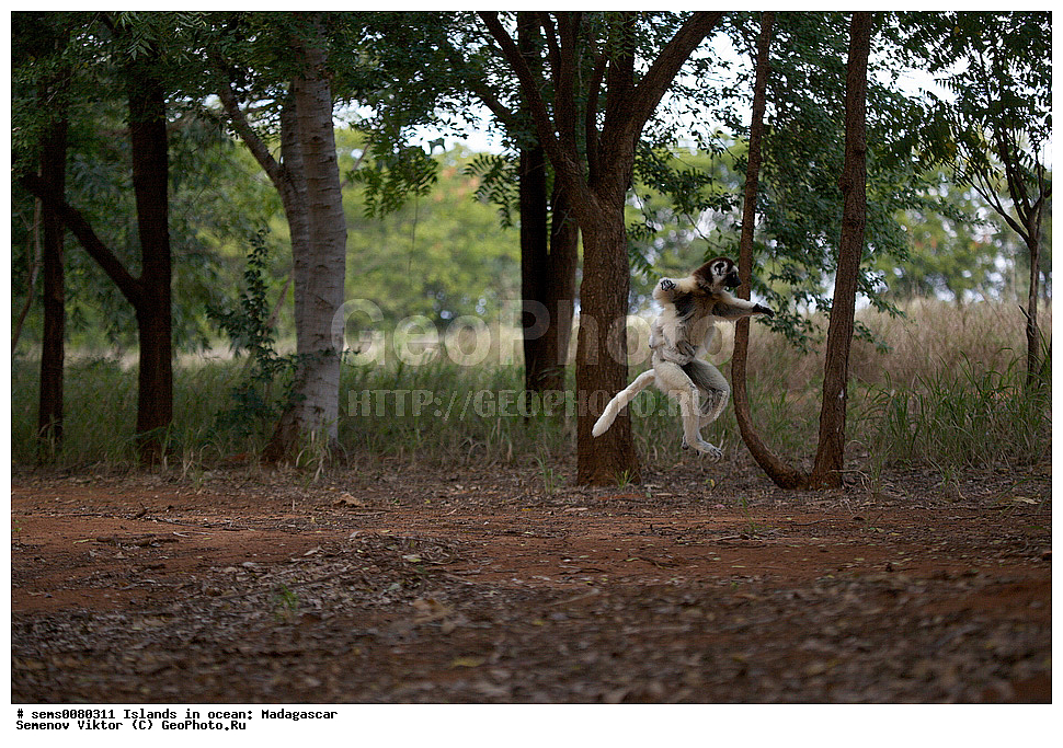 ����������, ���������� ����������