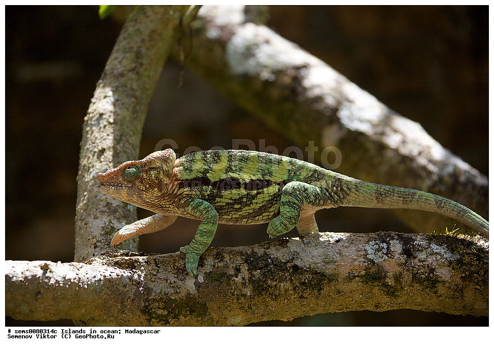 ����������, ���������� ����������