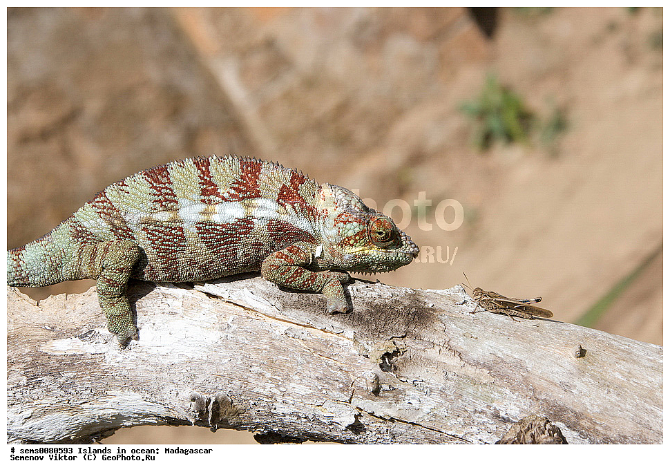 ����������, ���������� ����������