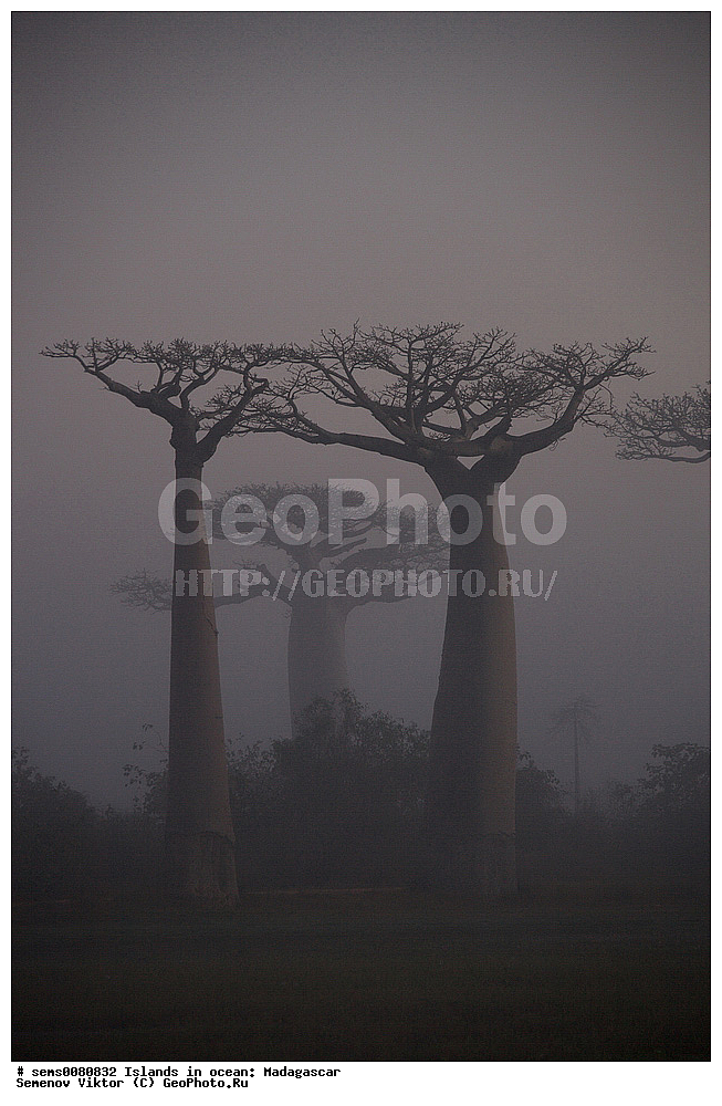 ����������, ���������� ����������