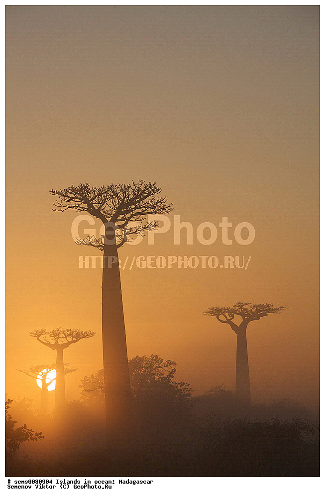 ����������, ���������� ����������