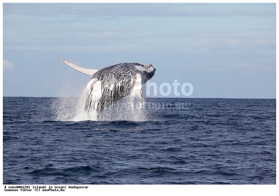 ����������, ���������� ����������