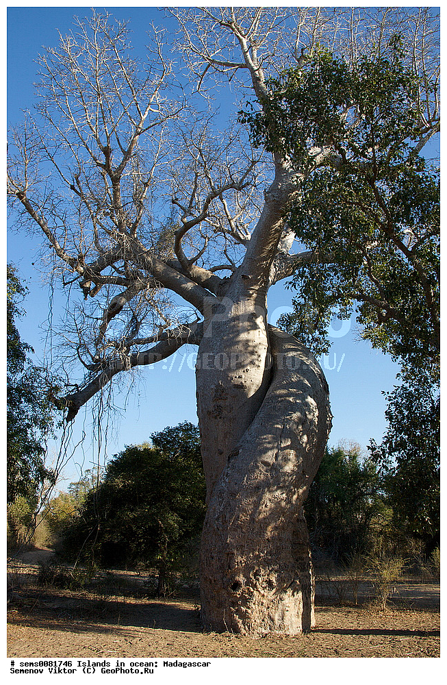 ����������, ���������� ����������