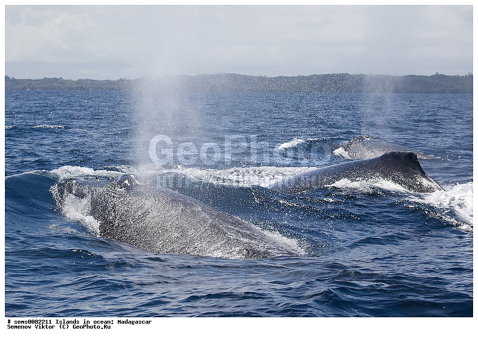 ����������, ���������� ����������