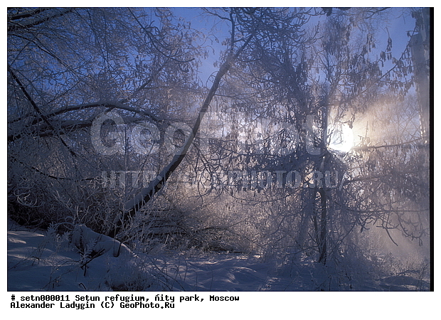 ������, ����, ������, ������� ����, ����, ����, ����